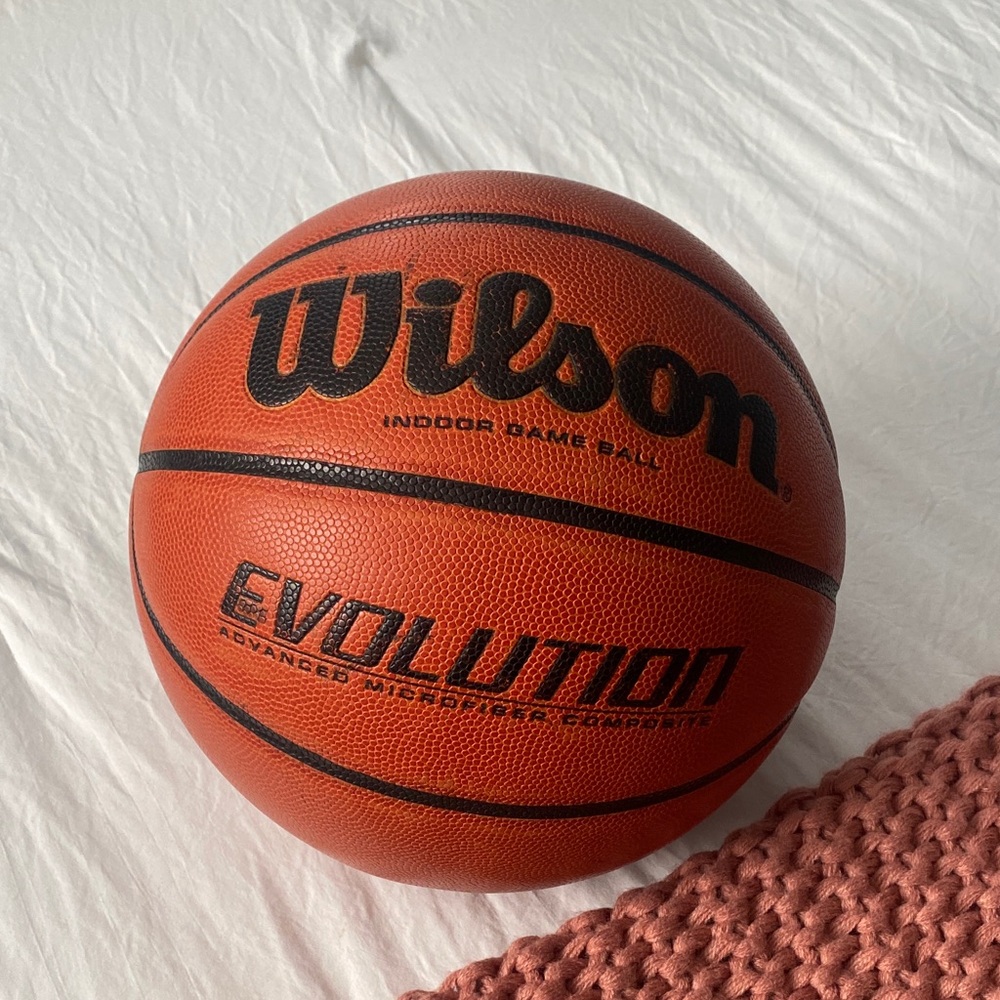 Wilson Evolution Indoor Game Basketball